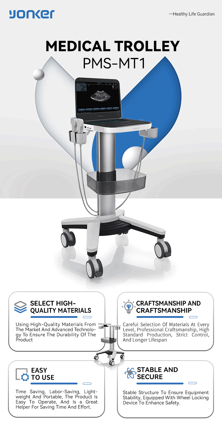 Sistema de ultrasonido de diagnóstico premium PMS-MT1